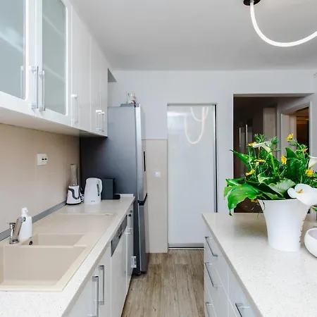 San Francis חוואר